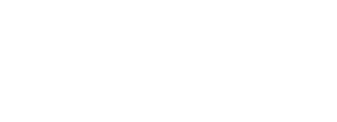 Araneco Logo